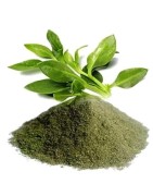 AyurNutri Nilavembu Churnam (Kalmegh Powder), 100g